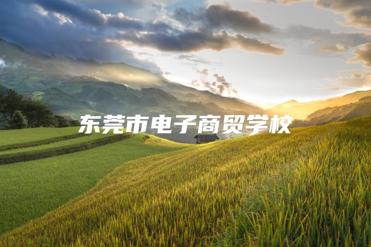東莞市電子商貿學(xué)校