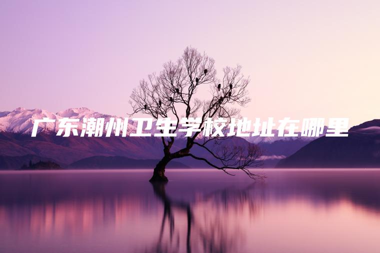 廣東潮州衛生學(xué)校地址在哪里