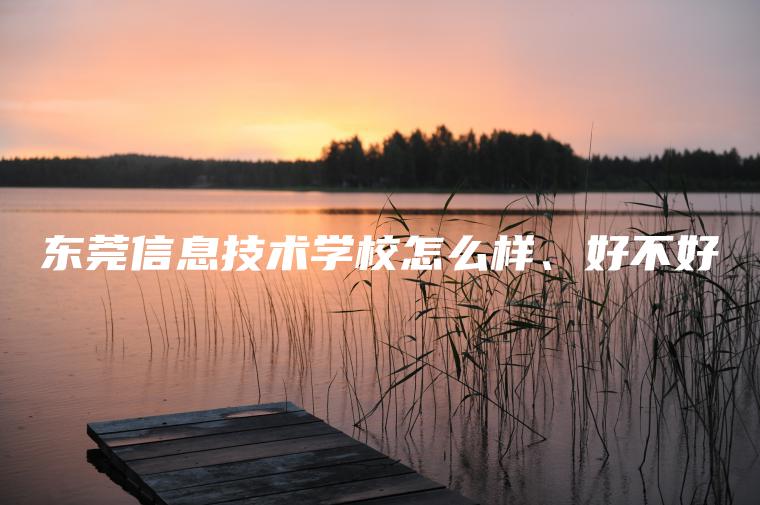 東莞信息技術(shù)學(xué)校怎么樣、好不好