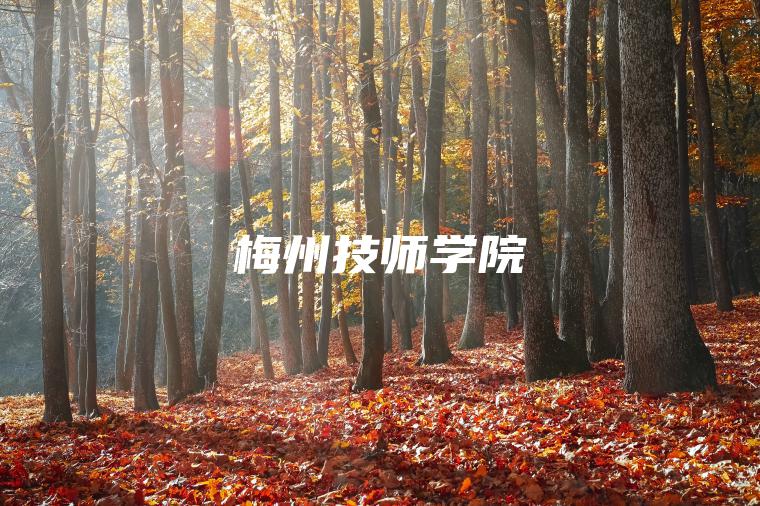 梅州技師學(xué)院