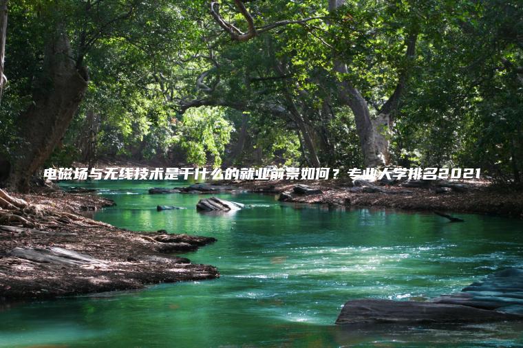 電磁場(chǎng)與無(wú)線(xiàn)技術(shù)是干什么的就業(yè)前景如何？專(zhuān)業(yè)大學(xué)排名2021