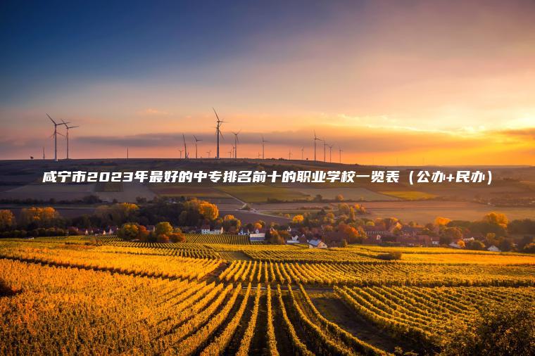 咸寧市2023年最好的中專(zhuān)排名前十的職業(yè)學(xué)校一覽表（公辦+民辦）