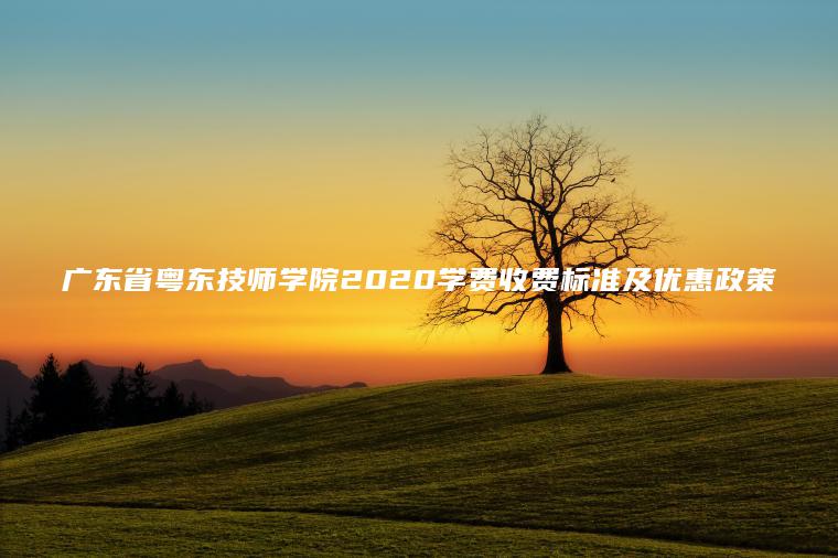 廣東省粵東技師學(xué)院2020學(xué)費收費標準及優(yōu)惠政策