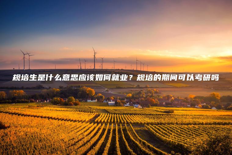 規培生是什么意思應該如何就業(yè)？規培的期間可以考研嗎