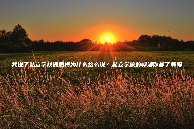 我進(jìn)了私立學(xué)校很后悔為什么這么說(shuō)？私立學(xué)校的弊端你都了解嗎