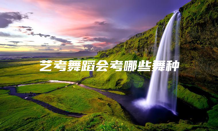 藝考舞蹈會(huì )考哪些舞種
