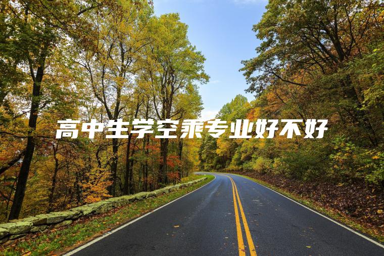 高中生學(xué)空乘專(zhuān)業(yè)好不好