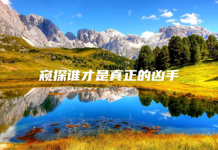 窺探誰(shuí)才是真正的兇手