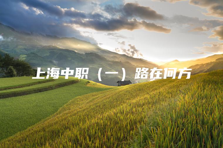 上海中職（一）路在何方
