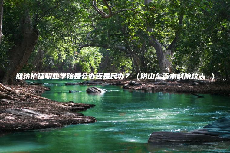 濰坊護理職業(yè)學(xué)院是公辦還是民辦？（附山東省本科院校表 ）