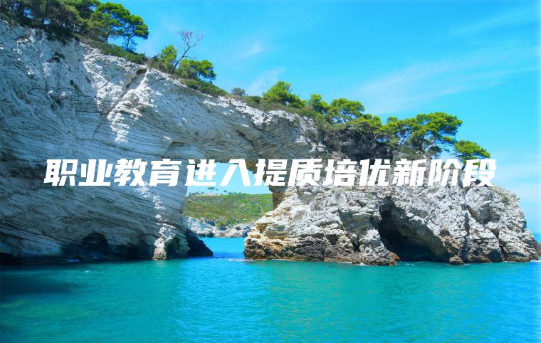 職業(yè)教育進(jìn)入提質(zhì)培優(yōu)新階段
