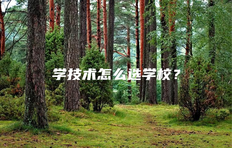學(xué)技術(shù)怎么選學(xué)校？