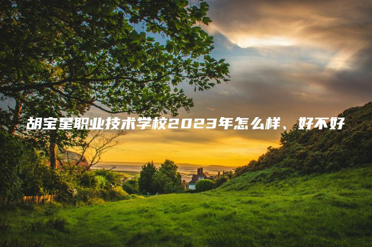 胡寶星職業(yè)技術(shù)學(xué)校2023年怎么樣、好不好