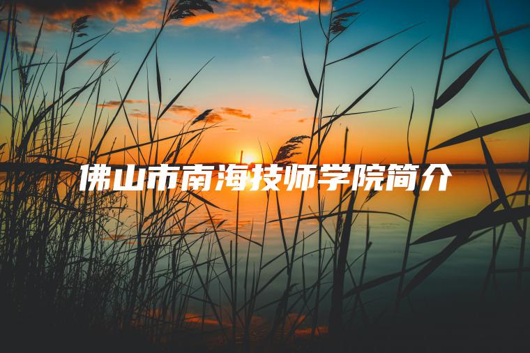 佛山市南海技師學(xué)院簡(jiǎn)介