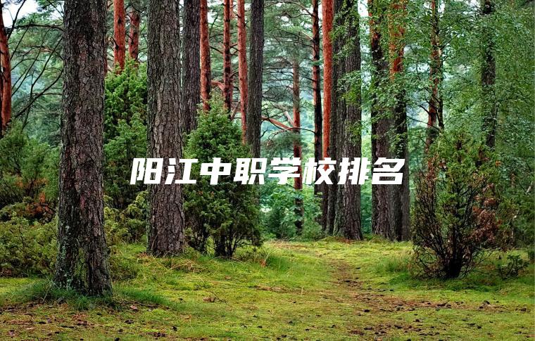 陽(yáng)江中職學(xué)校排名