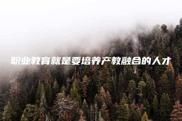 職業(yè)教育就是要培養產(chǎn)教融合的人才