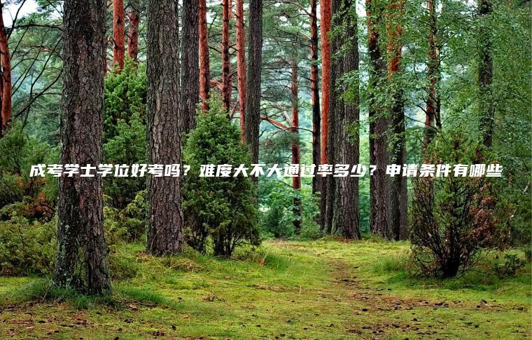 成考學(xué)士學(xué)位好考嗎？難度大不大通過(guò)率多少？申請條件有哪些