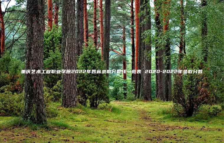 重慶藝術(shù)工程職業(yè)學(xué)院2022年各省錄取分數線(xiàn)一覽表 2020-2022年錄取分數