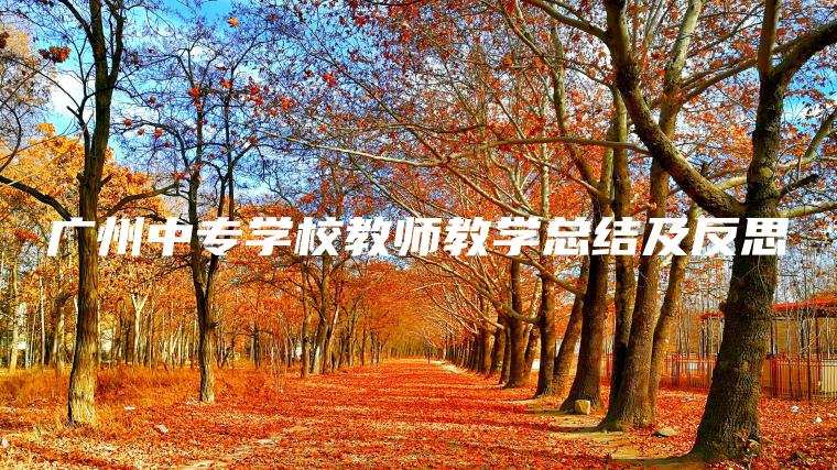 廣州中專(zhuān)學(xué)校教師教學(xué)總結及反思