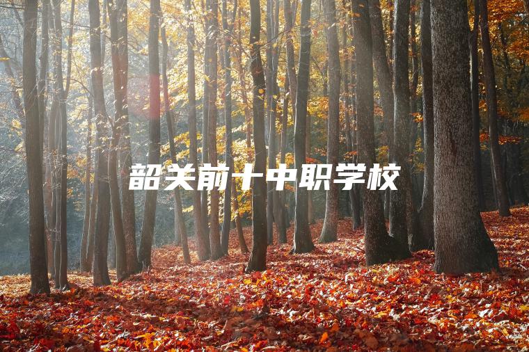 韶關(guān)前十中職學(xué)校