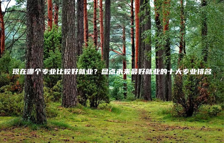 現在哪個(gè)專(zhuān)業(yè)比較好就業(yè)？盤(pán)點(diǎn)未來(lái)最好就業(yè)的十大專(zhuān)業(yè)排名