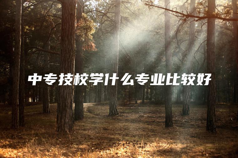 中專(zhuān)技校學(xué)什么專(zhuān)業(yè)比較好