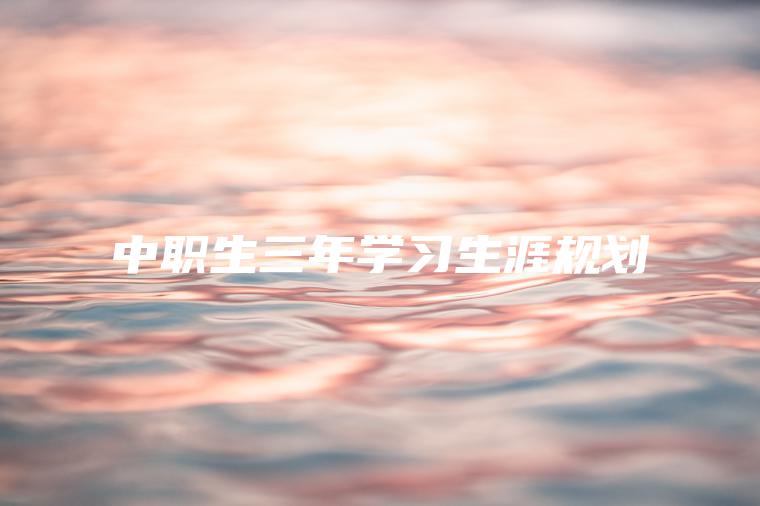 中職生三年學(xué)習生涯規劃