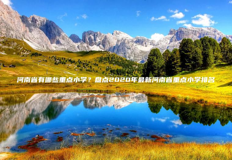 河南省有哪些重點(diǎn)小學(xué)？盤(pán)點(diǎn)2020年最新河南省重點(diǎn)小學(xué)排名