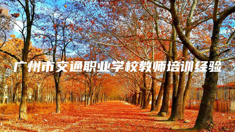 廣州市交通職業(yè)學(xué)校教師培訓經(jīng)驗
