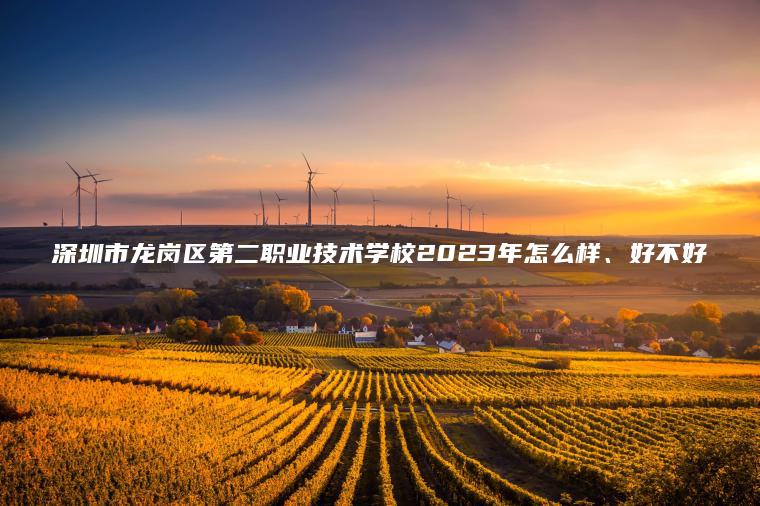 深圳市龍崗區第二職業(yè)技術(shù)學(xué)校2023年怎么樣、好不好