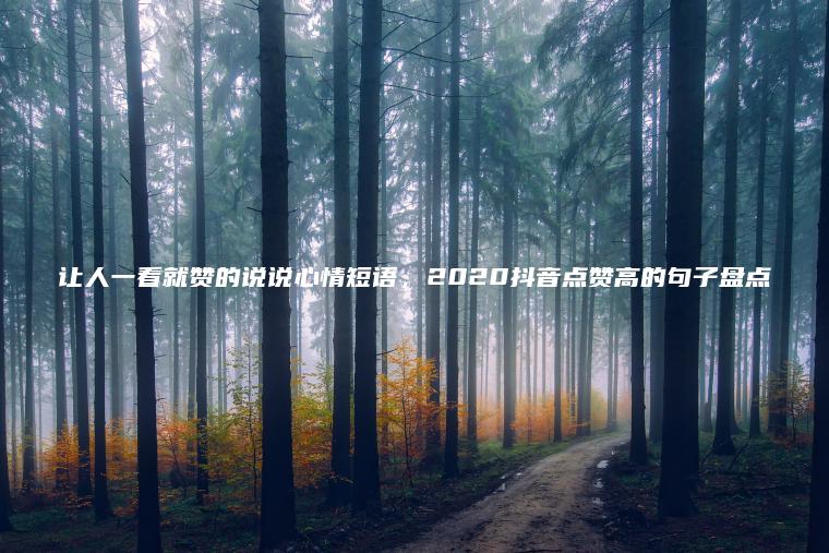 讓人一看就贊的說(shuō)說(shuō)心情短語(yǔ)，2020抖音點(diǎn)贊高的句子盤(pán)點(diǎn)