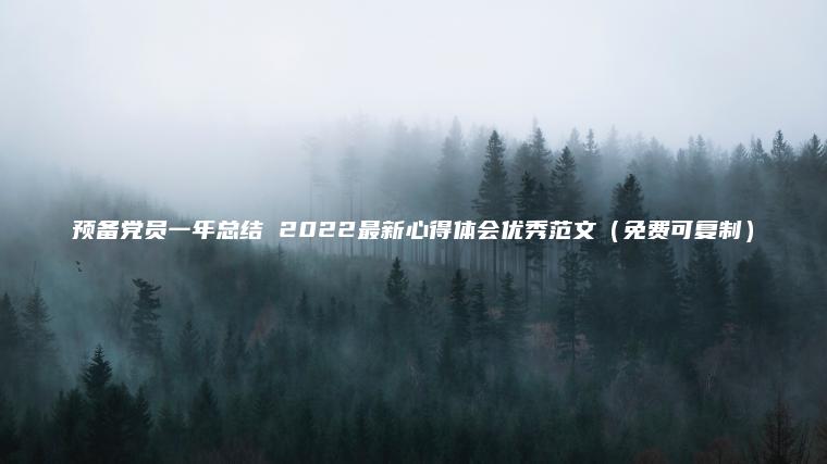 預備黨員一年總結 2022最新心得體會(huì )優(yōu)秀范文（免費可復制）