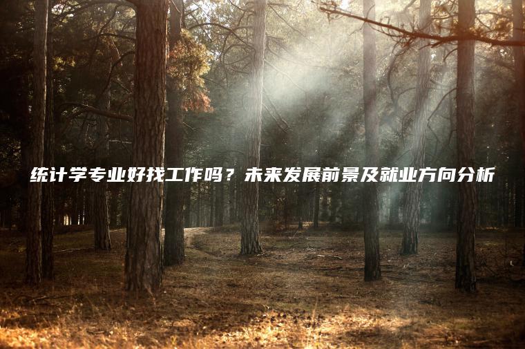 統計學(xué)專(zhuān)業(yè)好找工作嗎？未來(lái)發(fā)展前景及就業(yè)方向分析