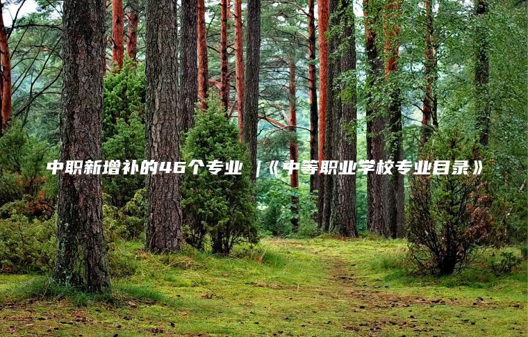 中職新增補的46個(gè)專(zhuān)業(yè) |《中等職業(yè)學(xué)校專(zhuān)業(yè)目錄》