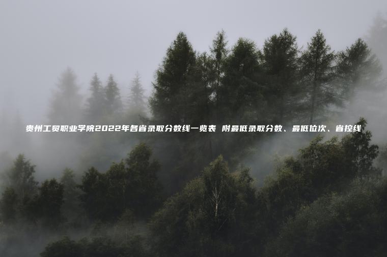 貴州工貿職業(yè)學(xué)院2022年各省錄取分數線(xiàn)一覽表 附最低錄取分數、最低位次、省控線(xiàn)