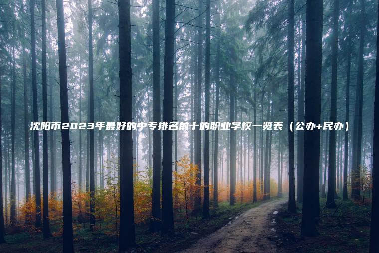 沈陽(yáng)市2023年最好的中專(zhuān)排名前十的職業(yè)學(xué)校一覽表（公辦+民辦）