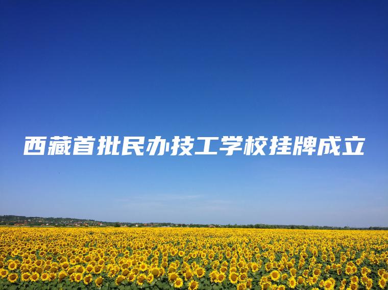 西藏首批民辦技工學(xué)校掛牌成立