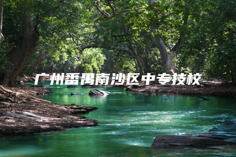 廣州番禺南沙區中專(zhuān)技校