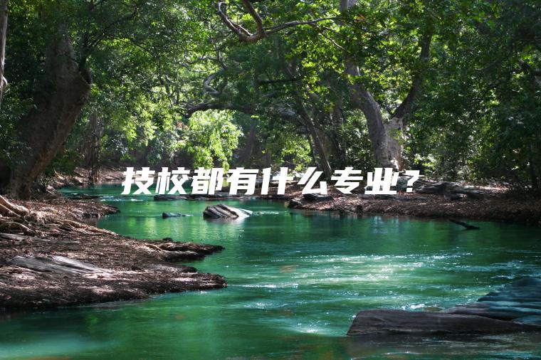 技校都有什么專(zhuān)業(yè)？