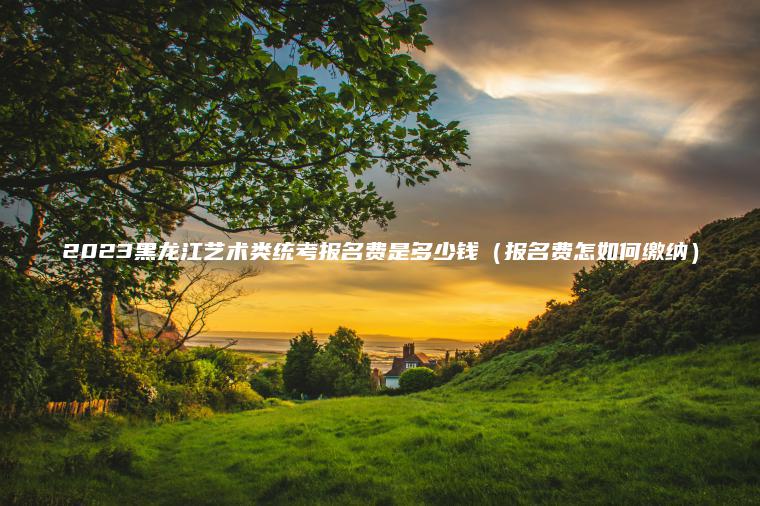 2023黑龍江藝術(shù)類(lèi)統考報名費是多少錢(qián)（報名費怎如何繳納）