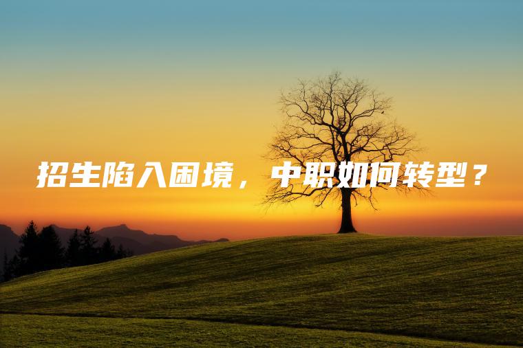 招生陷入困境，中職如何轉型？