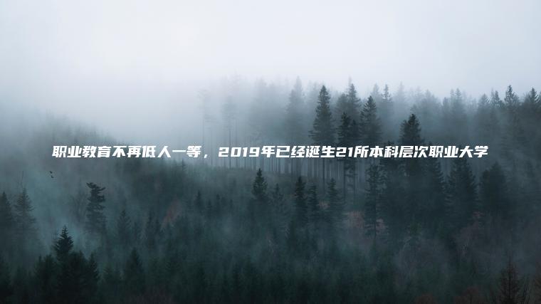 職業(yè)教育不再低人一等，2019年已經(jīng)誕生21所本科層次職業(yè)大學(xué)