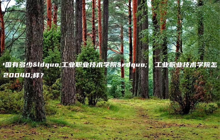 中國有多少“工業(yè)職業(yè)技術(shù)學(xué)院”，工業(yè)職業(yè)技術(shù)學(xué)院怎么樣？