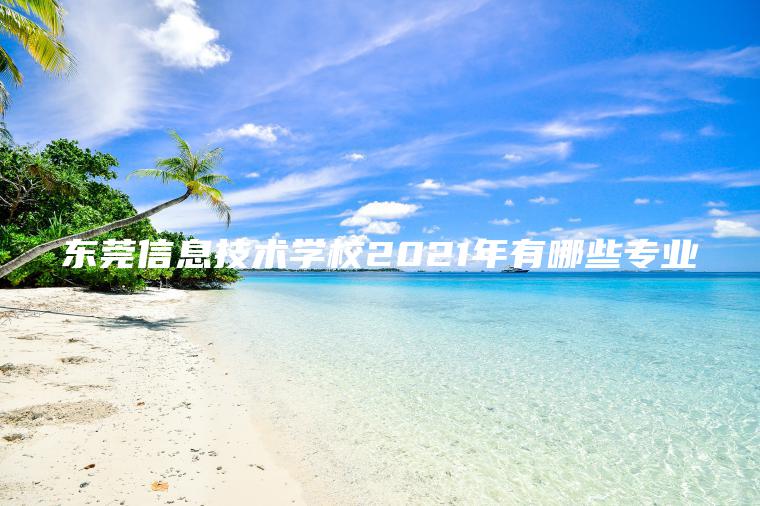 東莞信息技術(shù)學(xué)校2021年有哪些專(zhuān)業(yè)