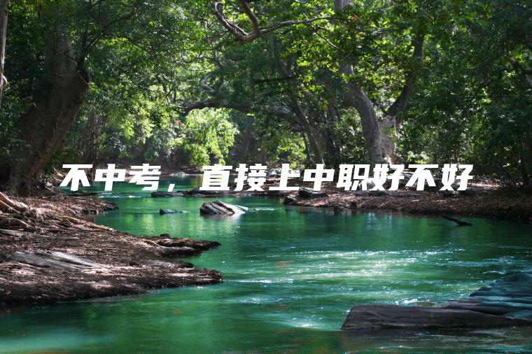不中考，直接上中職好不好