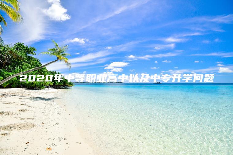 2020年中等職業(yè)高中以及中專(zhuān)升學(xué)問(wèn)題