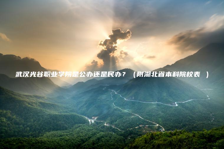 武漢光谷職業(yè)學(xué)院是公辦還是民辦？（附湖北省本科院校表 ）