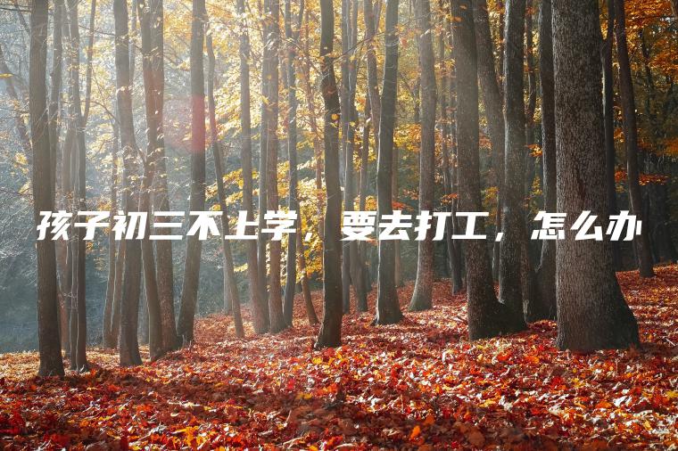 孩子初三不上學(xué)，要去打工，怎么辦