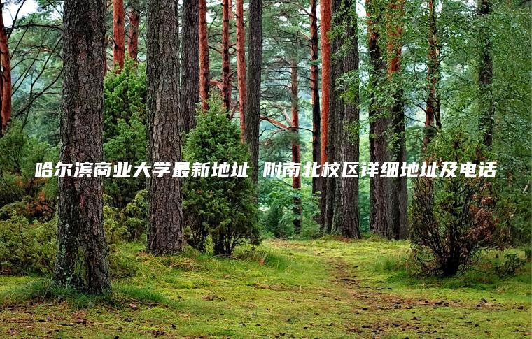 哈爾濱商業(yè)大學(xué)最新地址 附南北校區詳細地址及電話(huà)