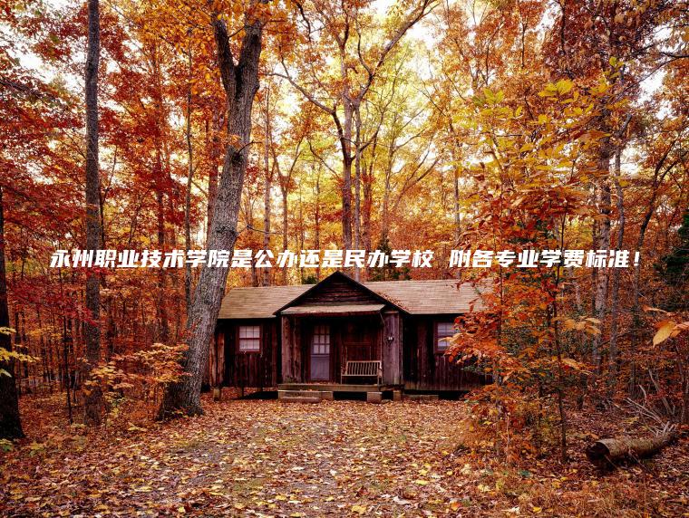 永州職業(yè)技術(shù)學(xué)院是公辦還是民辦學(xué)校 附各專(zhuān)業(yè)學(xué)費標準！